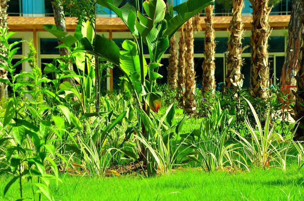 Maya World Hotel All Inclusive 锡德 外观 照片